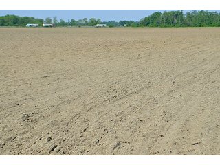 Property photo 70 - LAND AUCTION - 215+/- ACRES OFFERED IN 6 TRACTS IN VAN WERT COUNTY, OHIO